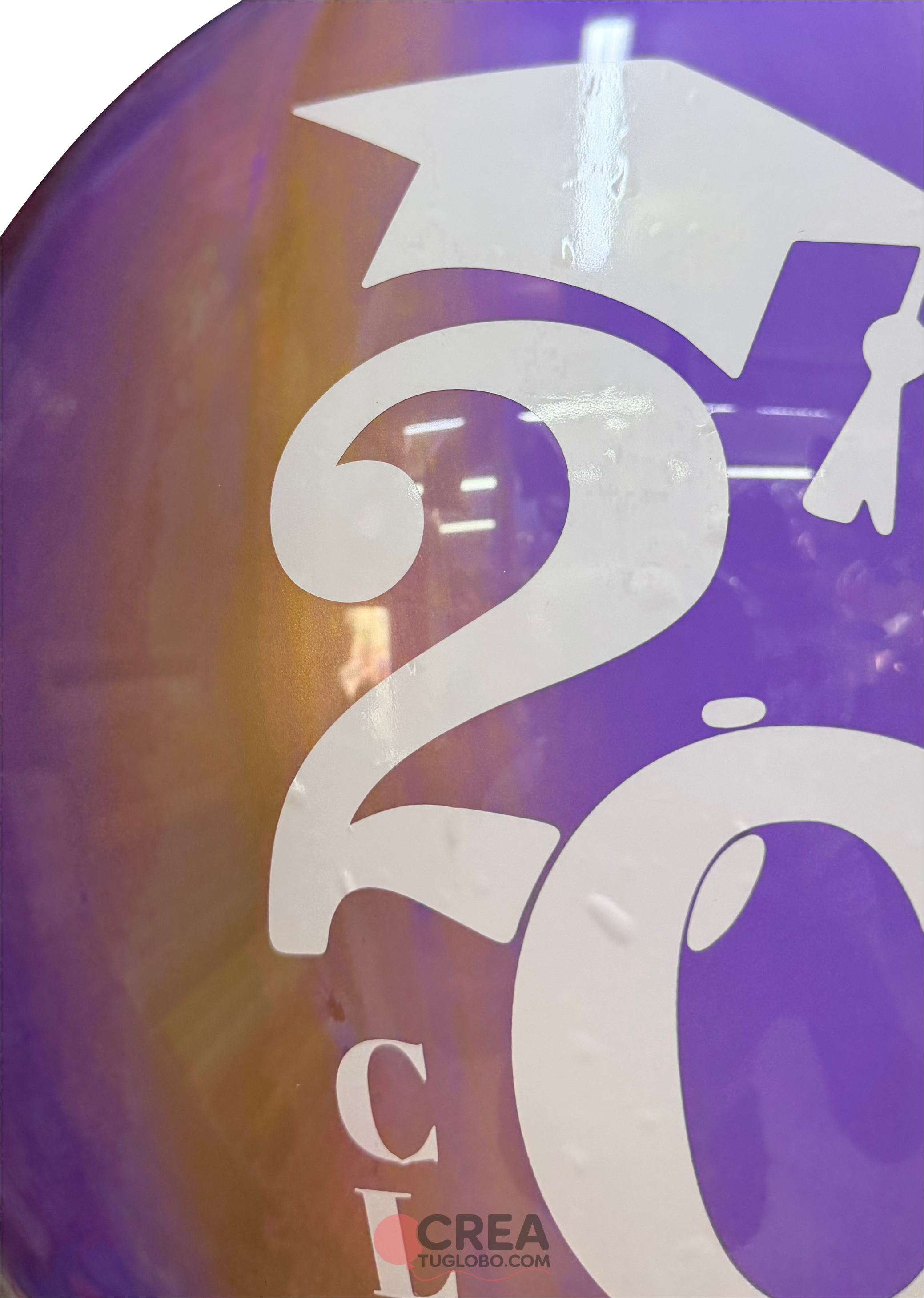 Bubble slime purple Class of